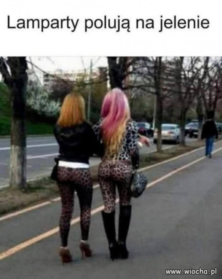 Człowiek to jednak drapieżnik.