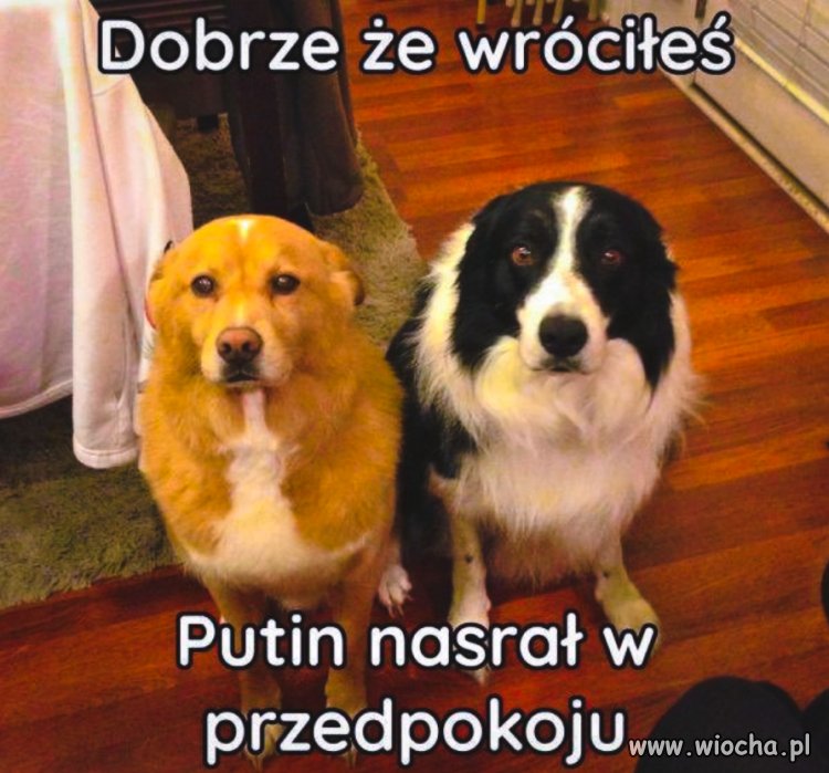 Ktoś tu ma nieczyste sumienie
