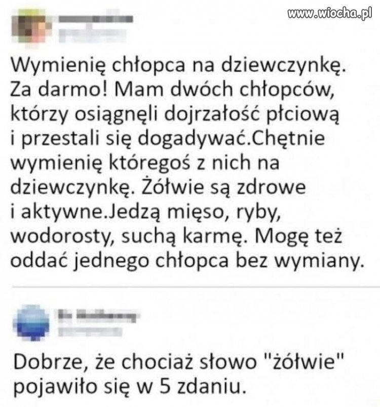 To ogłoszenie ma wszystko