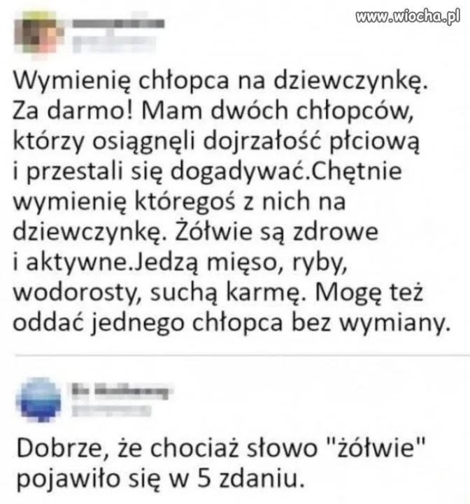 To ogłoszenie ma wszystko