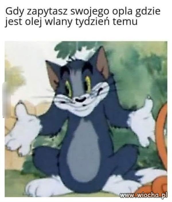 Kto miał lub ma opla 