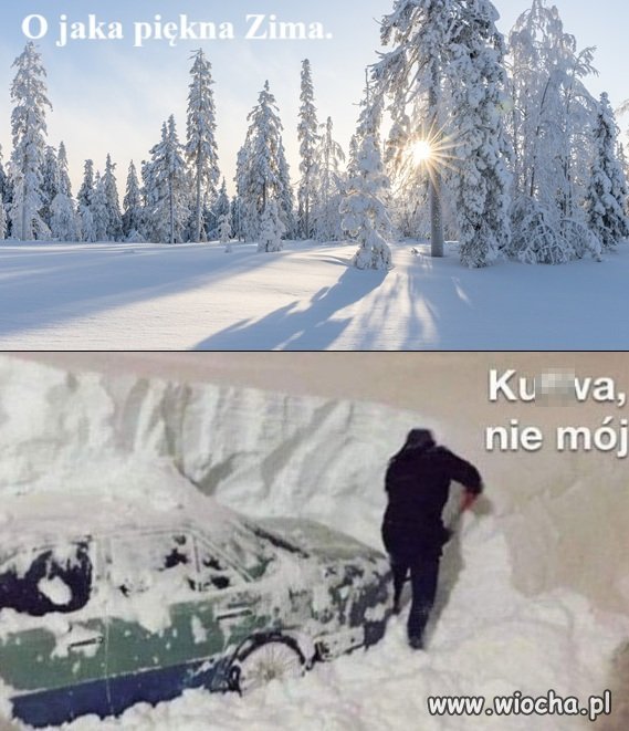 Każdy kto ma auto