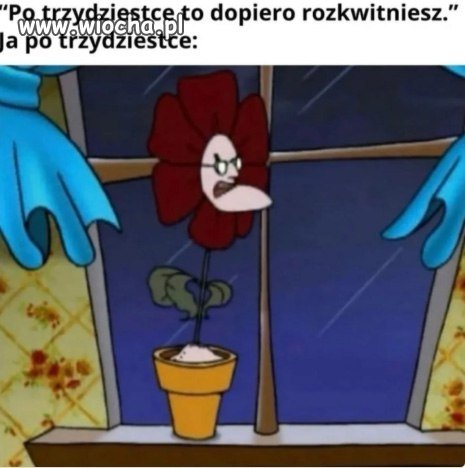 Ja po trzydziestce...