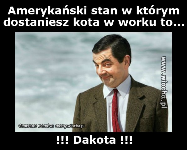  Amerykański stan w którym dostaniesz kota w worku