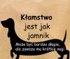 PiS zawsze klamal, klamie i bedzie klamal...