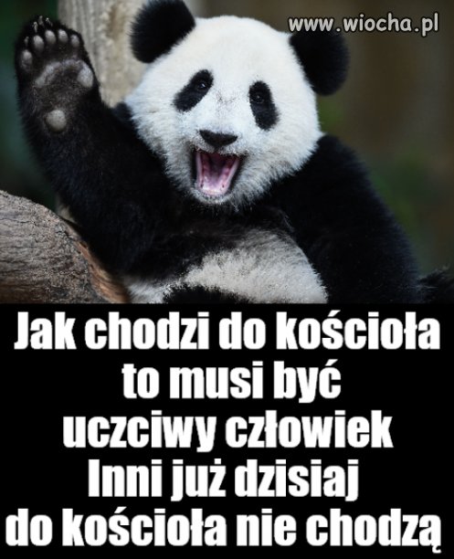 Kaprawym okiem ateisty patrząc ...