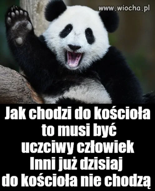 Kaprawym okiem ateisty patrząc ...