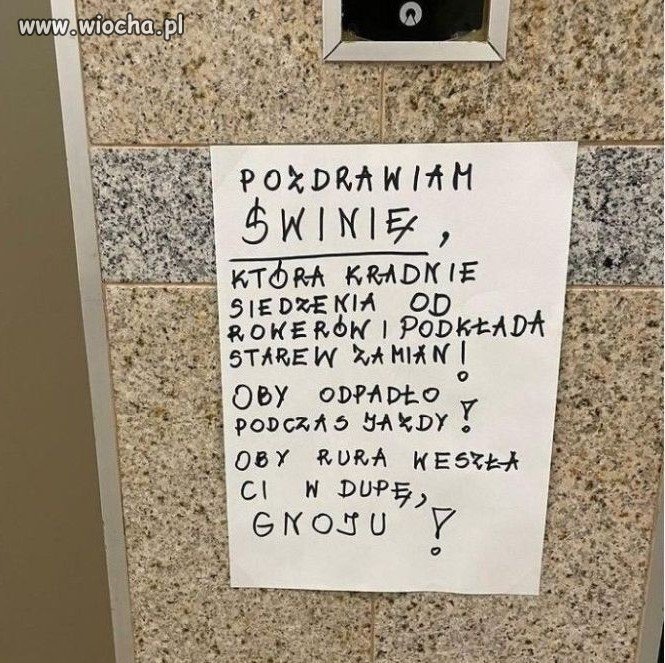 Świnia