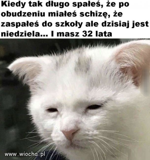 No i co tu zrobić 