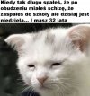 No i co tu zrobić 