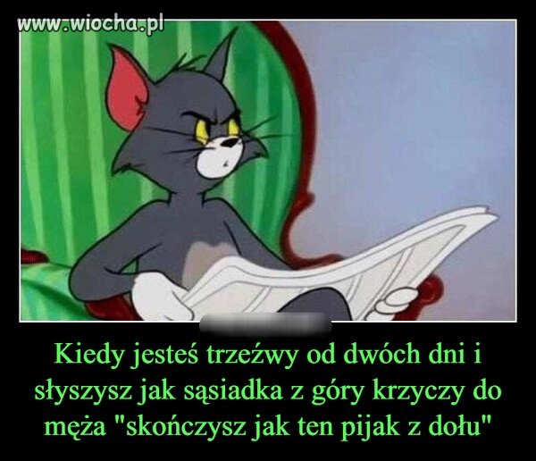 Że co przepraszam?