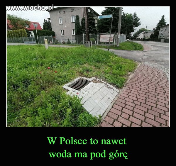 Made in Poland