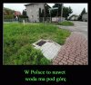 Made in Poland