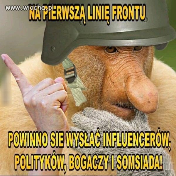 Wszystko rozumiem 