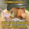Wszystko rozumiem 
