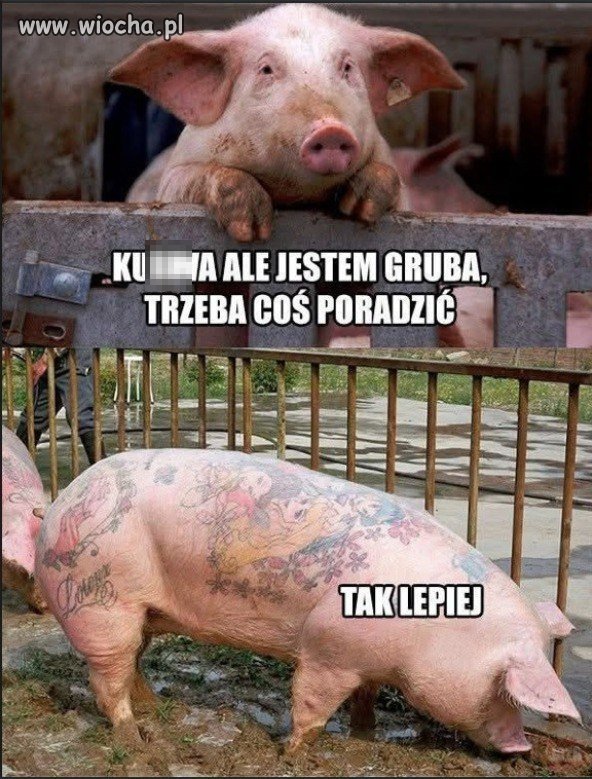 Nowa era: zamiast diety ? dziary