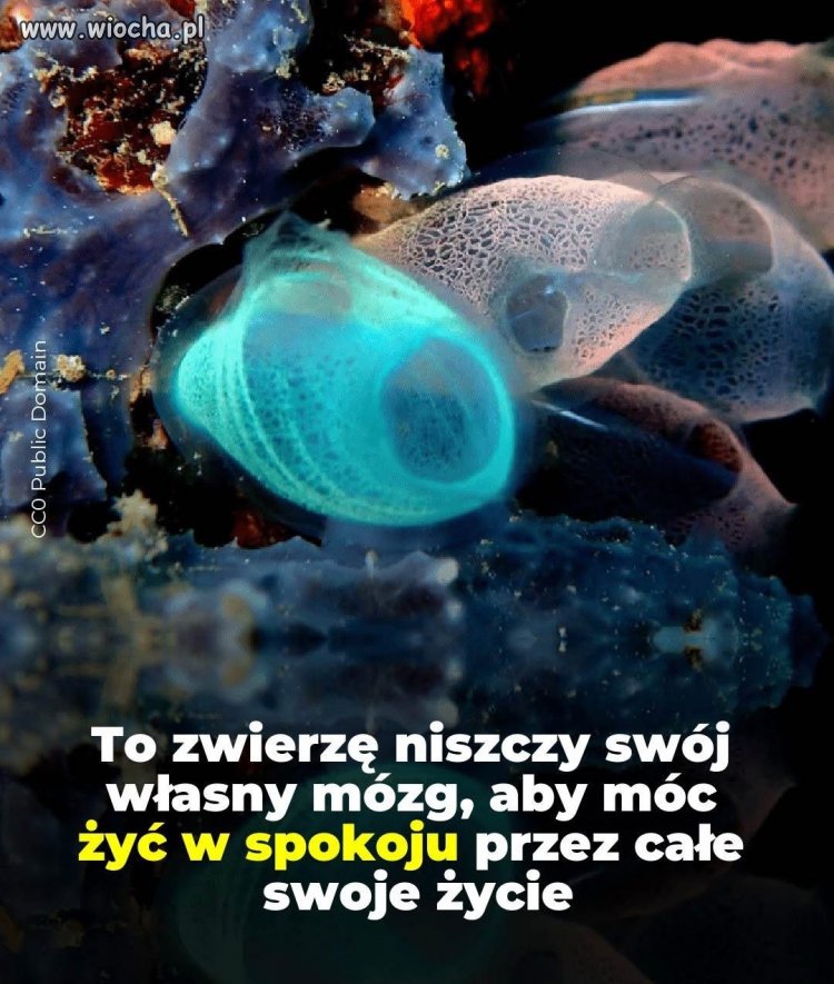 Mówiąc młodzieżowo: