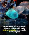 Mówiąc młodzieżowo: