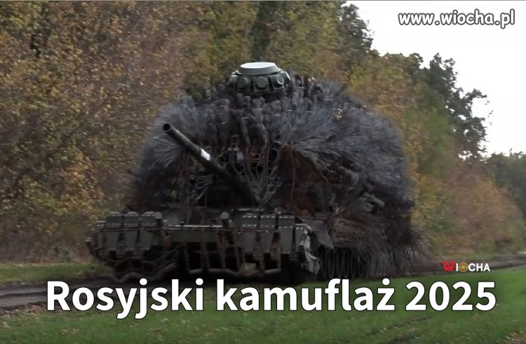 Jeż pancerny