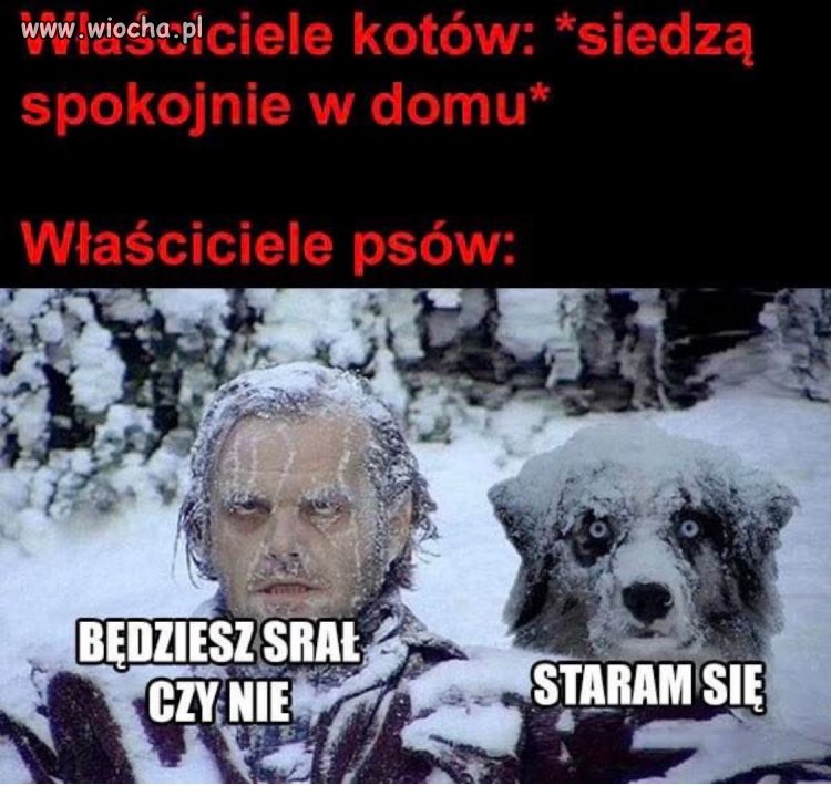 Prawda to?