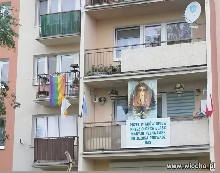 Bez komentarza 