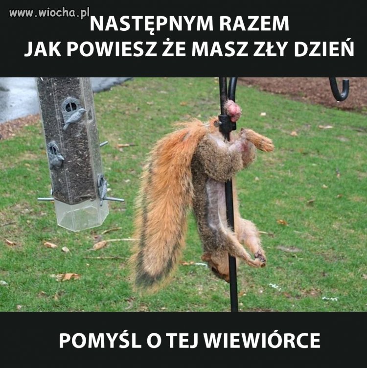 Następnym razem jak powiesz że masz zły dzień