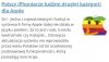 Dla  Apple  język polski jest zbyt trudny