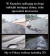 Zaczęło się łatanie dziur przed zimą