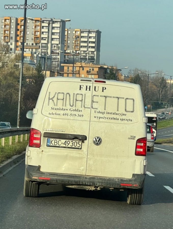 Artysta w swoim fachu