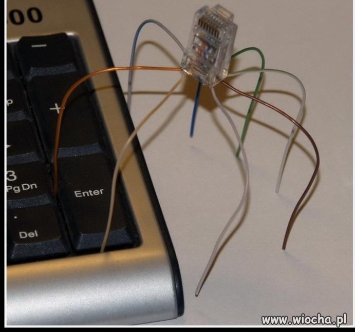 Mały robaczek/malvare/pajączek ewentualnie rootkit 