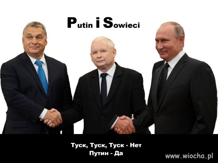 Утка - не птица. Польша не заг