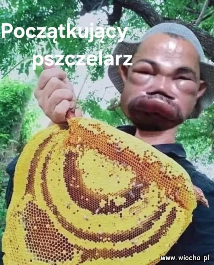 Napuchnięty