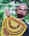 Napuchnięty