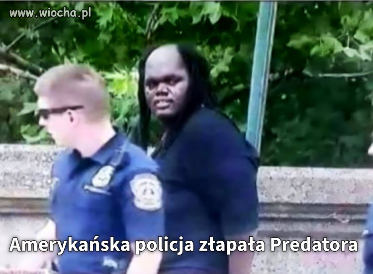 Aresztowany za nielegalne polowanie na Ziemian