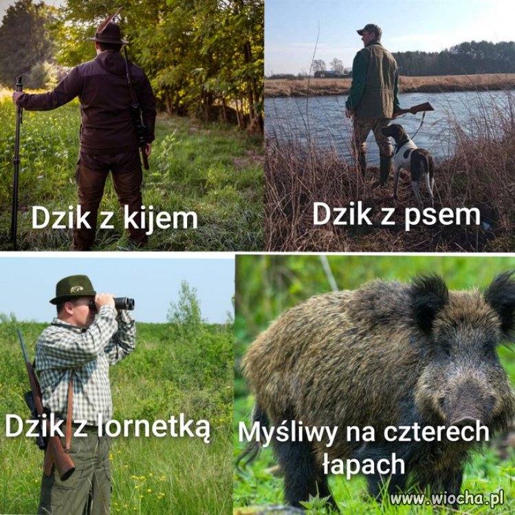 Co widzi myśliwy?