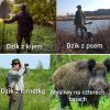 Co widzi myśliwy?