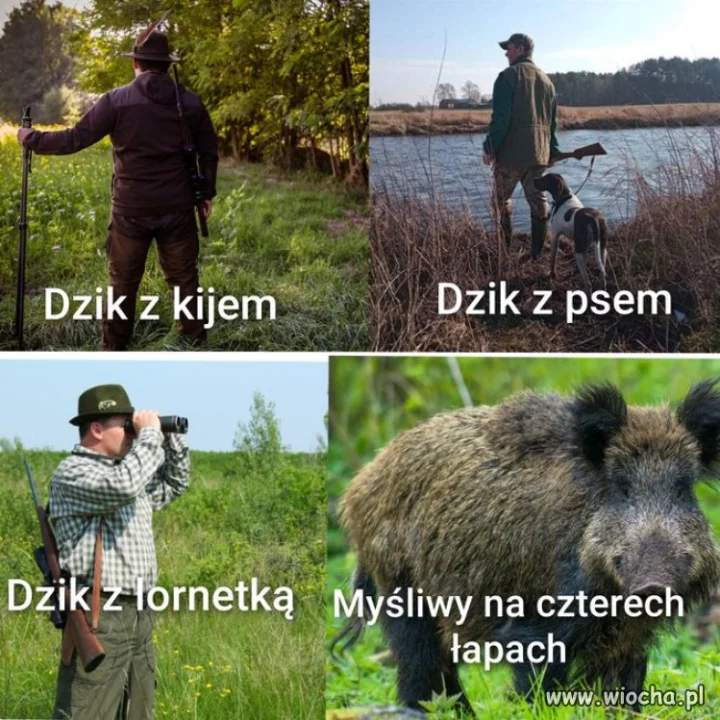 Co widzi myśliwy?