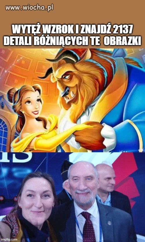 "piękna i bestia"