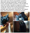 Bo w tej parówce było więcej mięsa 