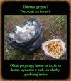 Dokładnie