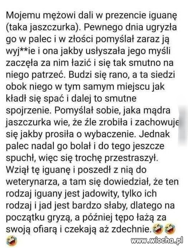 No i masz skończyła opowieść w takiej chwili 