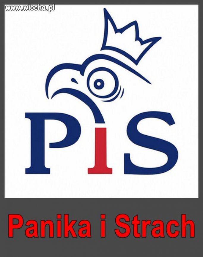 Co widać, słychać i czuć