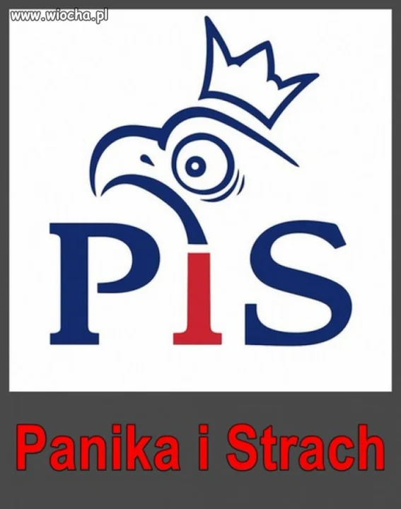Co widać, słychać i czuć