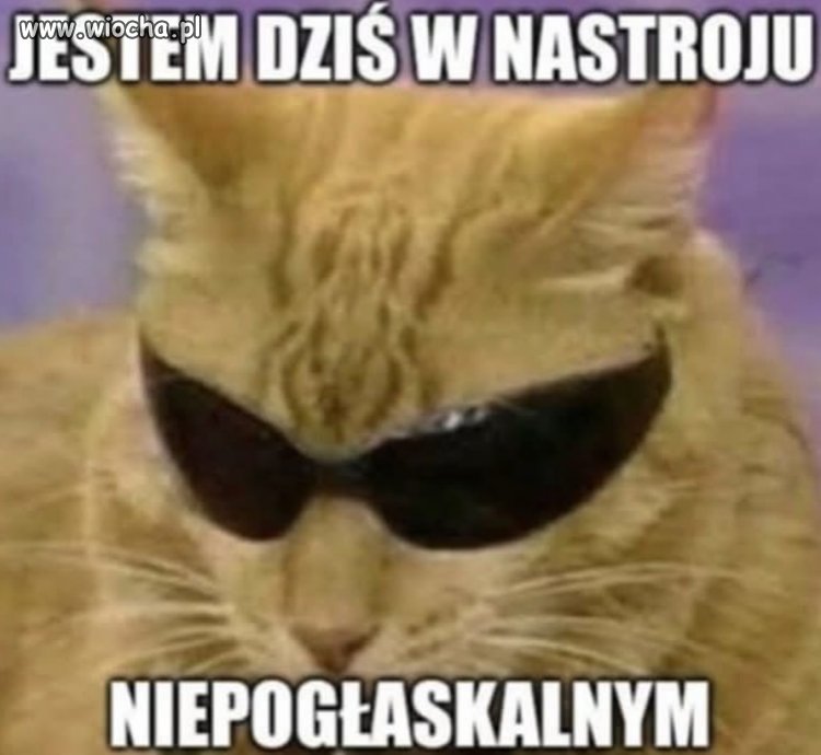 Nie podchodzić