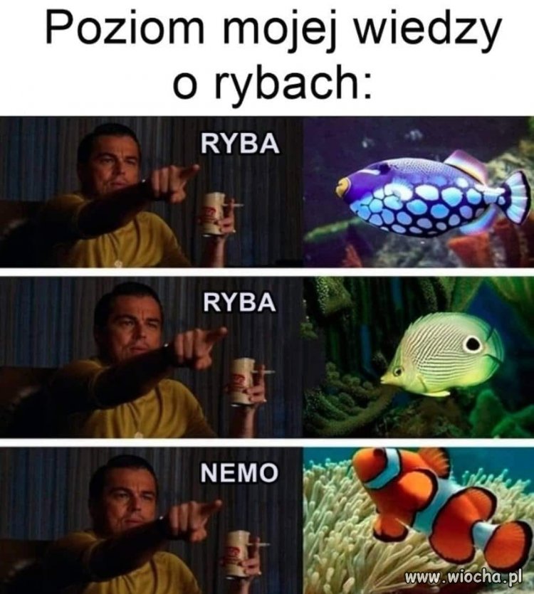 Potwierdzam