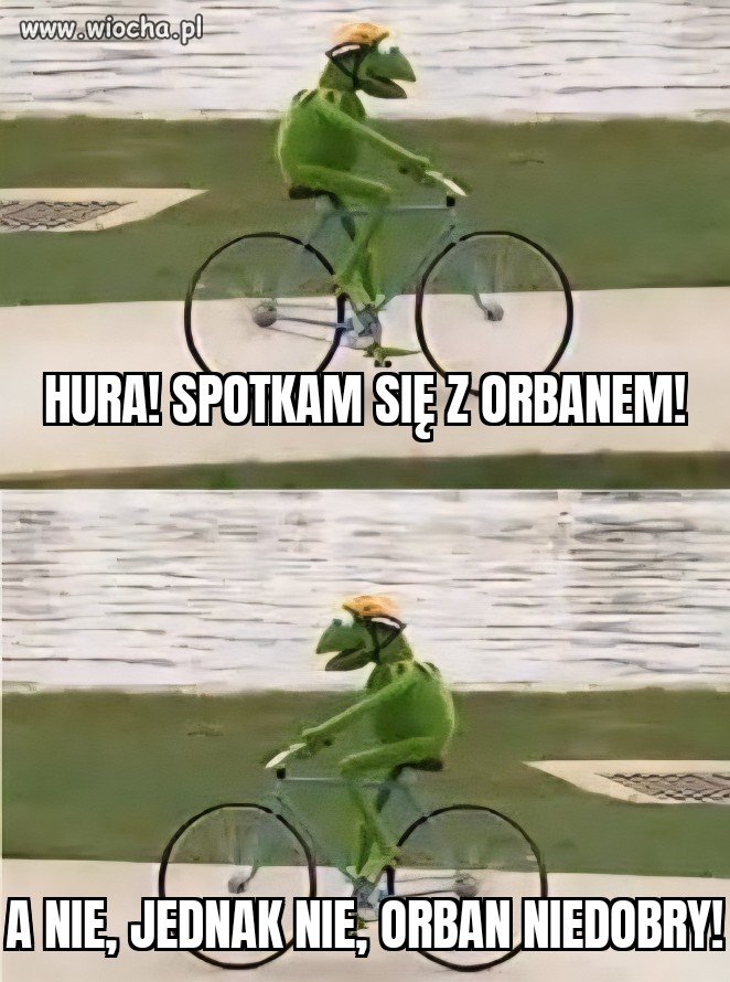 Cały PIS