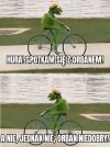 Cały PIS