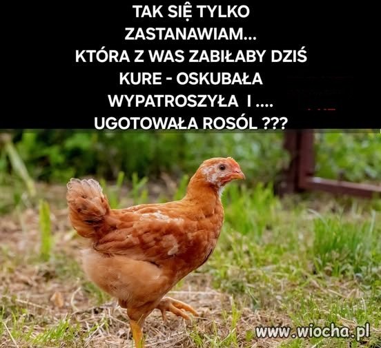 Wielu młodych  nawet nie wie , że z tego ...
