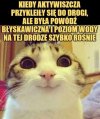 Nie wiem jak wy, ale...