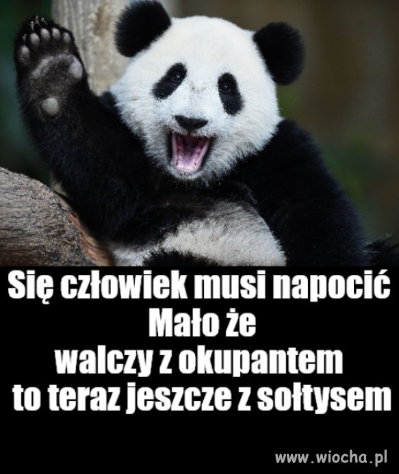 Kaprawym okiem ateisty patrząc ...